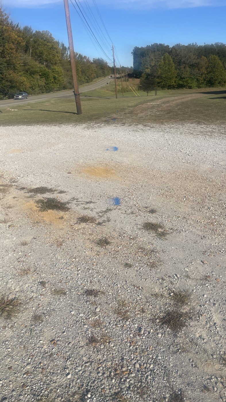 10/20: blue (water) marks across the front lot toward the road