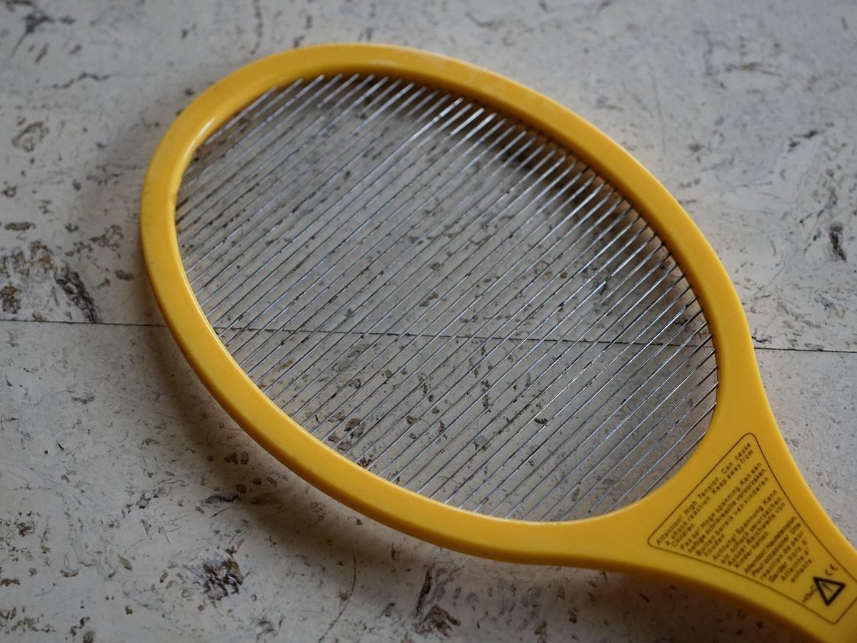 Fly Swatter Review