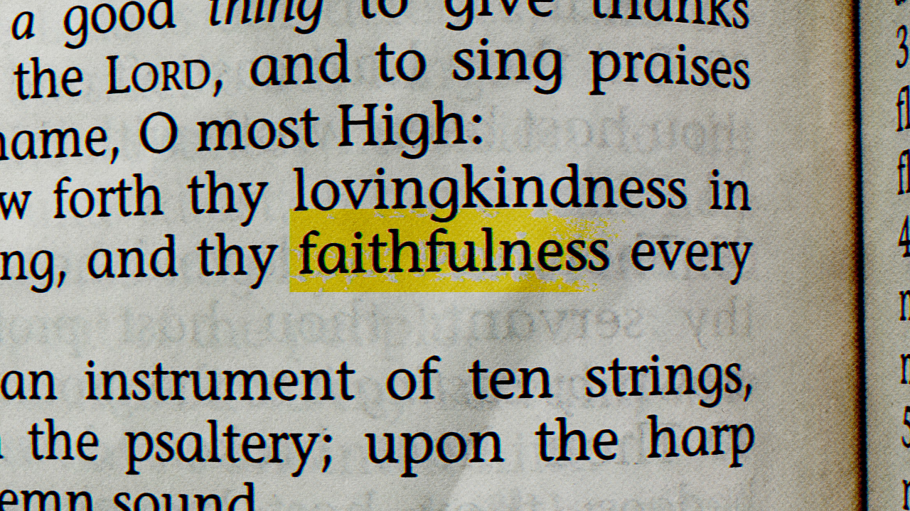 The Harvest: Faithfulness - Why Staying Matters in a Culture of Options